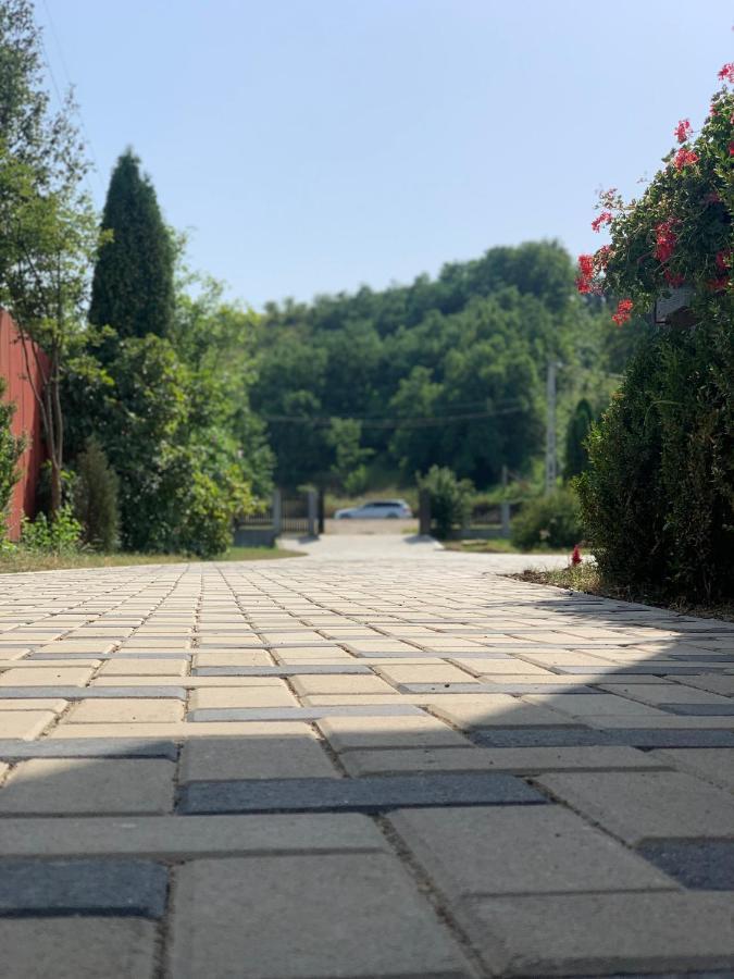 Pensiunea Romana Onesti Εξωτερικό φωτογραφία
